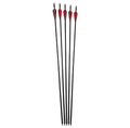 HELLBOW Carbon Fiber Arrows 5 Pack