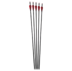 HELLBOW Black Wood Compound Bow Kit